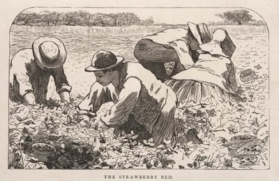 Jahodová postel, 1868. od Winslow Homer