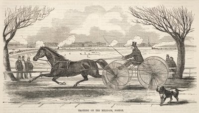 Klusání po Mlýnské přehradě, Boston od Winslow Homer