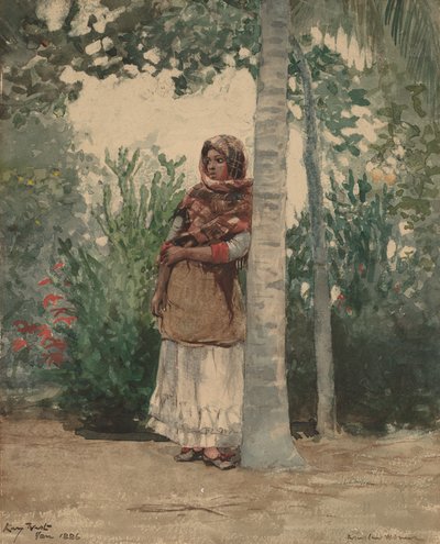 Pod palmou, 1886. od Winslow Homer