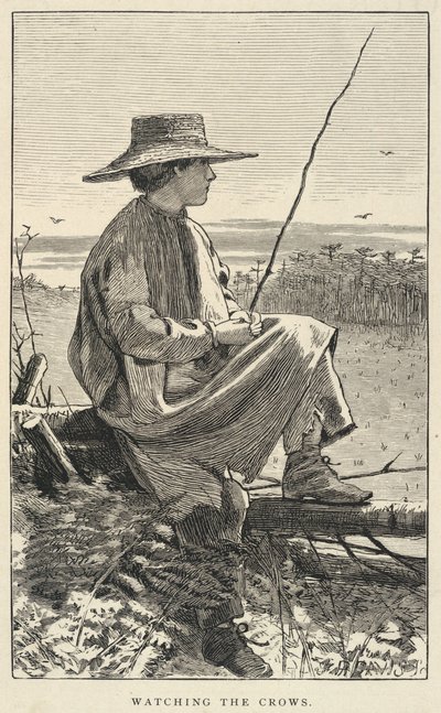 Pozorování vran, z časopisu Our Young Folks, červen 1868 od Winslow Homer