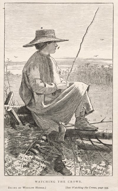 Pozorování vran od Winslow Homer