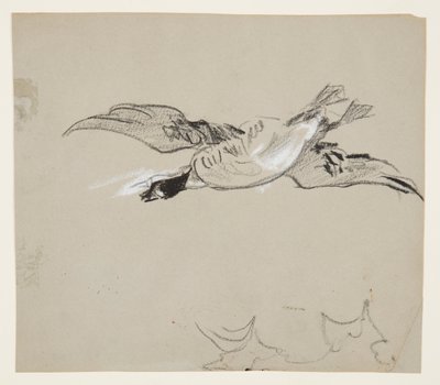 Divoká husa v letu od Winslow Homer