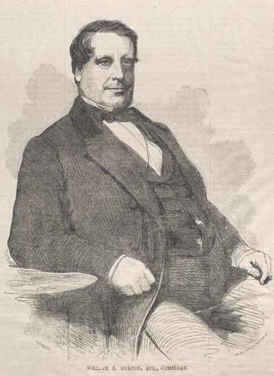 William E. Burton, advokát, komik od Winslow Homer