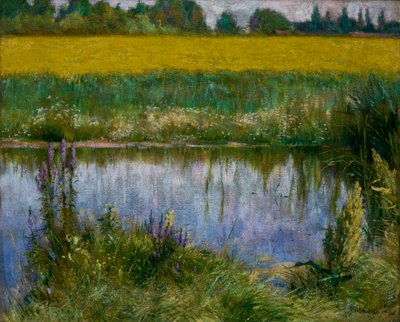 Pole Lupina od Wladyslaw Podkowinski