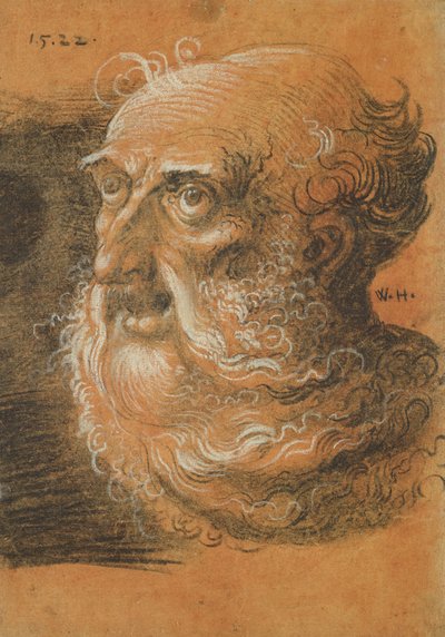 Head Study, 1522 (uhlí a bílá křída na papíře) od Wolf Huber