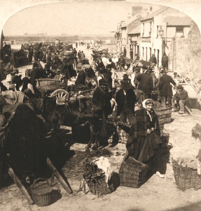Prodej Irishman