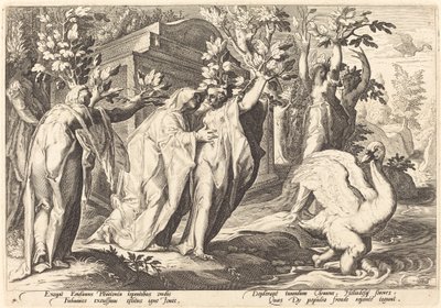 Phaetonovy sestry se změnily v topoly, Cygnus v labuť od Workshop of Hendrick Goltzius, after Hendrick Goltzius