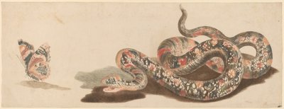 Had a motýl, 1680s1690. od Workshop of Johann Teyler