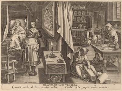 Guaiacum a pohlavní infekce od Workshop of Philip Galle after Jan van der Straet
