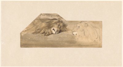 Studie dvou lvů od Wouter Johannes van Troostwijk