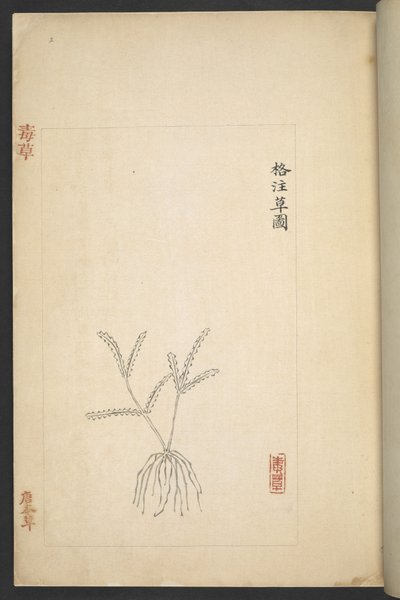 Nebo plán 13347 B f.2r od „Du Cao (jedovaté rostliny)“ (inkoust a barva na papíře) od Wu Qijun