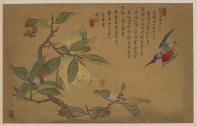Pták, ovoce a květiny, dynastie Qing, 1741. od Wu Zhang