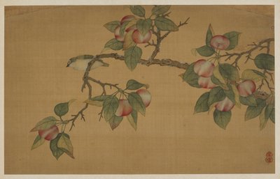 Pták a ovoce, dynastie Čching, 1741. od Wu Zhang