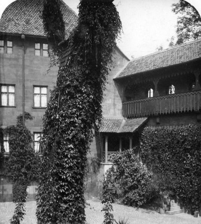 Lípa na nádvoří, Norimberk, Bavorsko, Německo, c1900. od Wurthle and Sons