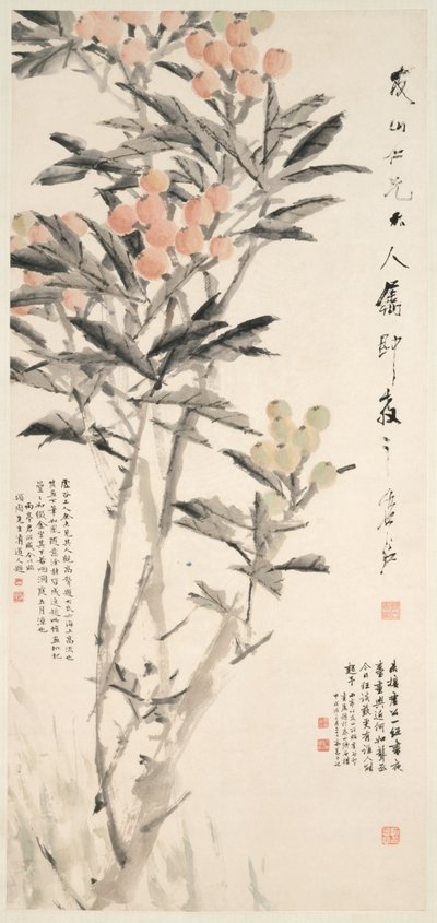 Pipa Loquats, c. 1888-89. od Xugu