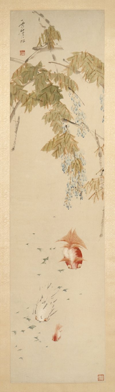 Vistárie a zlaté rybky 紫藤金魚圖 od Xugu