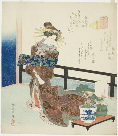 č. 6: Květ hlavního města (Miyako no hana), ze série "Porovnání květin (Hana awase)" od Yanagawa Shigenobu II