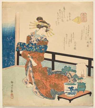 Číslo šest: Květiny hlavního města ze série Květiny od Yanagawa Shigenobu II