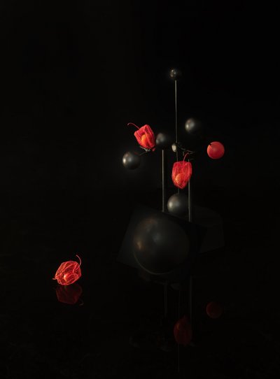  od Yi Pan