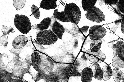 Monochromatický listový baldachýn od Ylva Sjögren