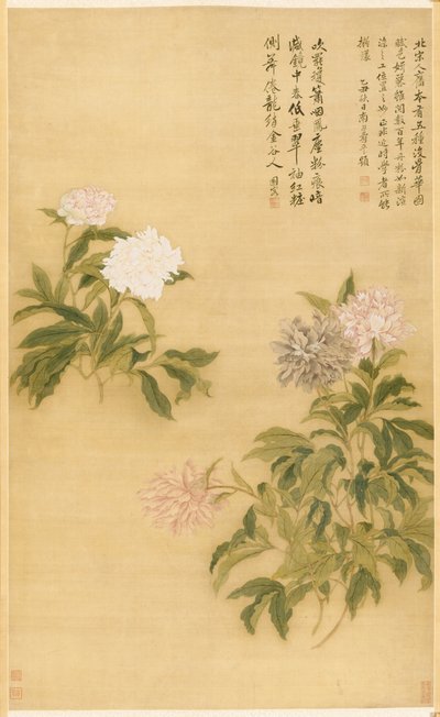 Pivoňky, 1685. od Shouping Yun