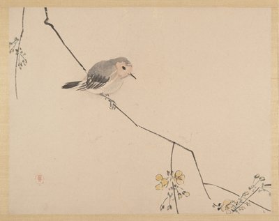 Malování od Zeshin Shibata