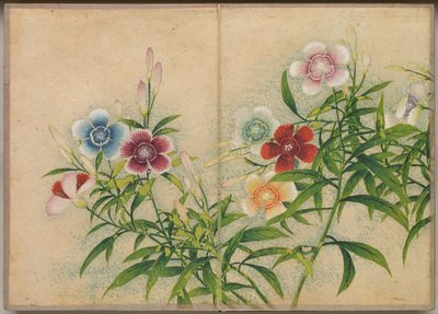 Desk Album: Flower and Bird Paintings Pinks, 18th Century. od Zhang Ruoai