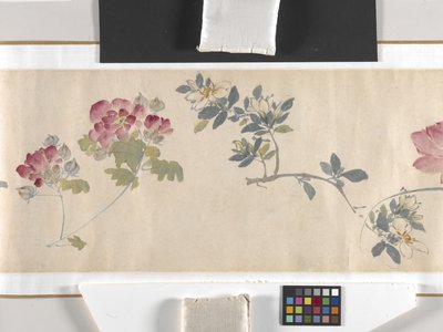Barevné květiny od Zhimian Zhou