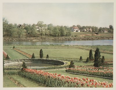 Americká předměstská scéna, c 1928 od John Pardon