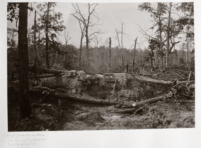 Battlefield of New Hope Church, Georgia, USA od Ferdinand Georg Waldmuller