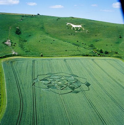 Kruh v obilí v pšeničné pole, Milk Hill, Alton Priors, Vale of Pewsey, Wiltshire od Ferdinand Georg Waldmuller