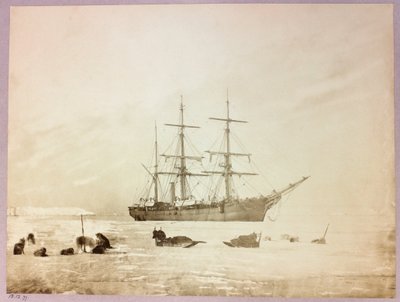 Arktická expedice (1875-1876) kapitána George Narese (1831-1915): H od Frederick (attr. to) Barnard