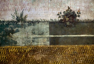 Váza na květiny, detail z fresky zobrazující zahradu s ovocnými stromy a ptáky, z domu Livia na Palatine hill, Řím, Itálie. římská civilizace od Georg Carl Heinrich Dollmann