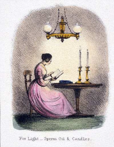 Pro světlo, Spermový olej a svíčky, c 1845 od Frederick (attr. to) Barnard
