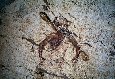 Fresco, ostrov Kos, Řecko (foto) od William Walcutt