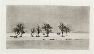 "Gnarled Thorn Trees" od Frederick (attr. to) Barnard
