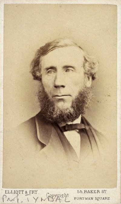 John Tyndall, irský fyzik, c 1875 od Frederick (attr. to) Barnard