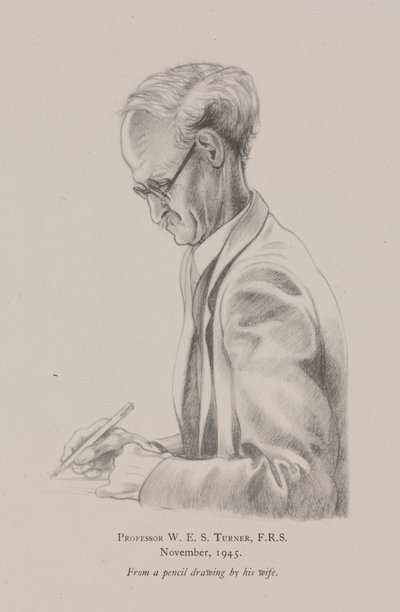 Profesor W E S Turner, listopad od Frederick (attr. to) Barnard