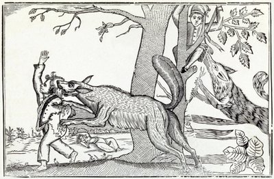 Vlk kolem roku 1820 (rytina) od . .