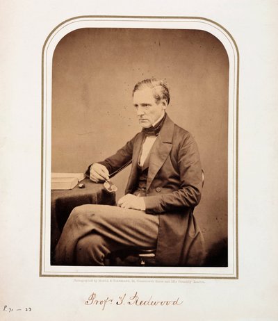 Theophilus Redwood, velšský chemik od Ferdinand Georg Waldmuller