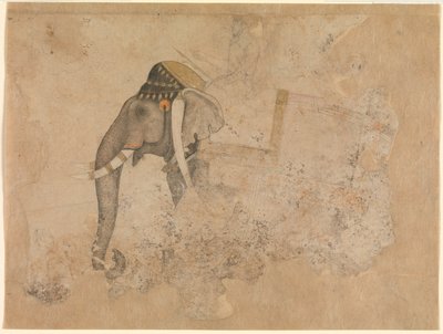 Hashim. Slon a jezdec. ca. 1640 Metropolitan Museum of Art, New York od Hashim