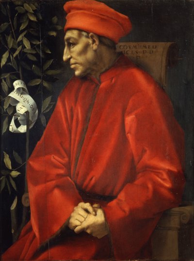 Portrét Cosima staršího od Pontormo