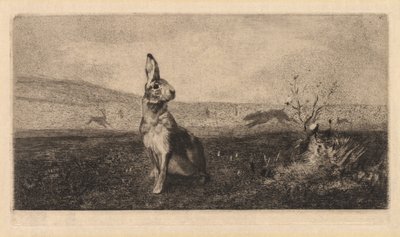 Zajíc od after Albert de Balleroy