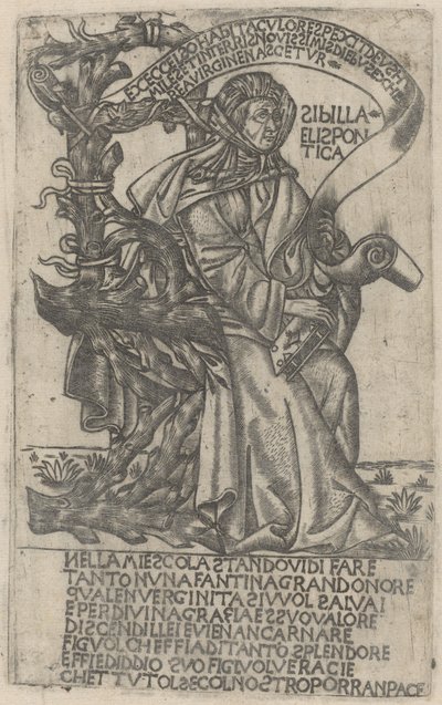 Helespontinská Sibyla od after Baccio Baldini