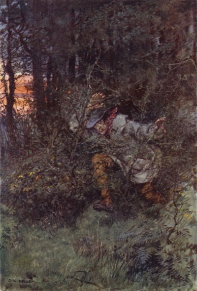 Ilustrace pro Martina Chuzzlewita od after Charles Edmund Brock