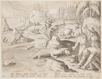 Lov na krokodýly od after Jan van der Straet, called Stradanus