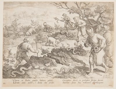 Lov hadů od after Jan van der Straet, called Stradanus