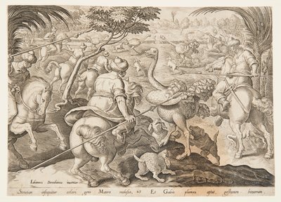 Lov na pštrosy od after Jan van der Straet, called Stradanus