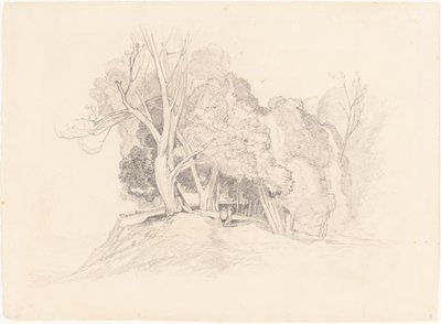 Krajina se stromy od after John Sell Cotman British 19th Century