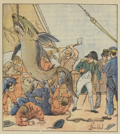 Úlovek žraloka od after Louis Charles Bombled